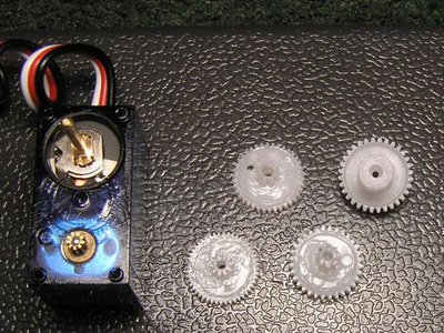 P4100016.JPG