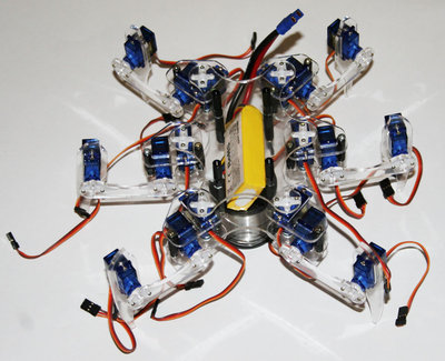 hexapod-hxt900-v2.jpg