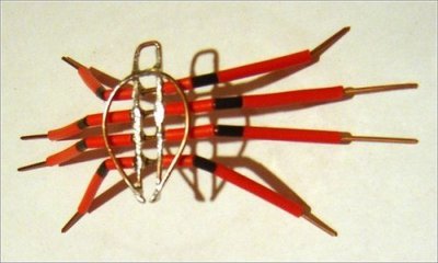118.jpg