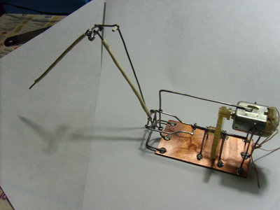 S5002183.JPG