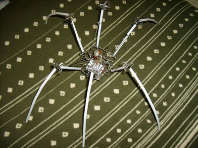 Spider.JPG