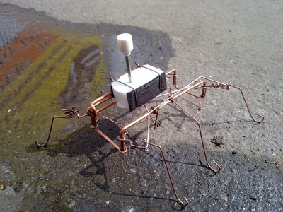 06072011938.jpg