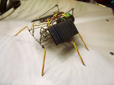 SDC11195.JPG