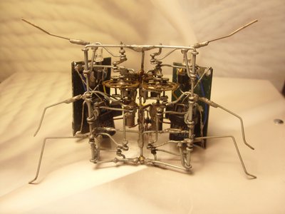 SDC11203.JPG