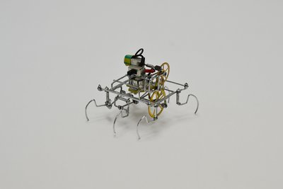 ant-2.jpg