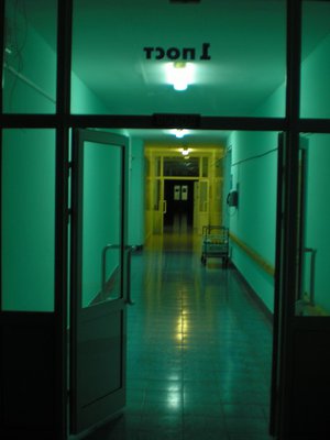 b2.JPG