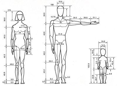 Human_proportions_by_BenTs_sTock.jpg