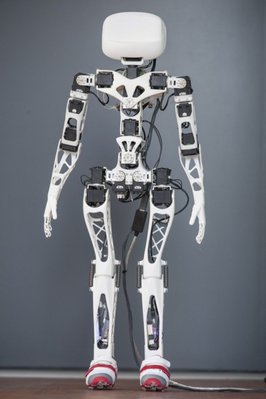 poppy-robot-2.jpg