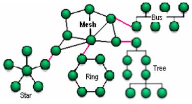 topology.jpg