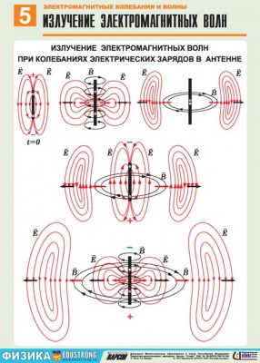 elkoleb6curves5.jpg