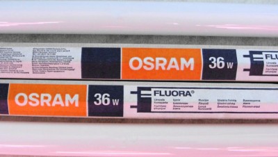 osram_fluora2.jpg