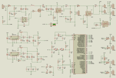 zar1.gif